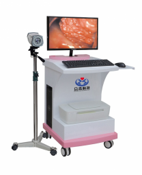 數(shù)碼電子陰道鏡   ZJ-6000型